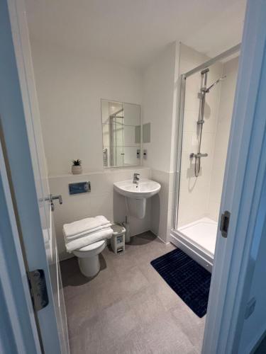 a bathroom with a toilet and a shower and a sink at Bel Home in Belvedere