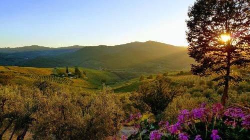 a view of a vineyard with the sun setting in a valley at Terre di Melazzano - Le Case di Chiara in Greve in Chianti