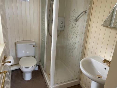 a bathroom with a shower and a toilet and a sink at The Baby House @ Wood Quay, Carlingford in Carlingford