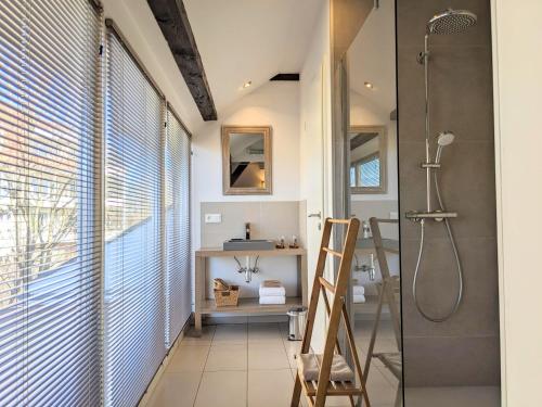 a bathroom with a shower and a wooden ladder at La Villa Du Coteau in Obernai