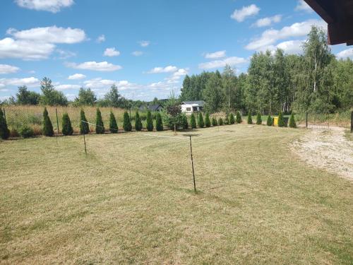 Un jardín fuera de Dom przy lesie