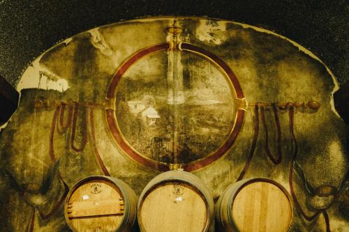 Φωτογραφία από το άλμπουμ του Agriturismo Il Monticello σε Sarzana