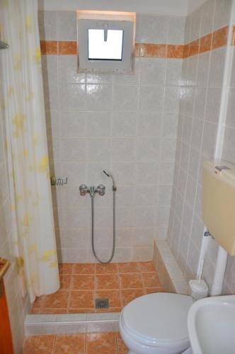 a bathroom with a shower and a toilet in it at Lagos Studios & Apartments in Palekastron