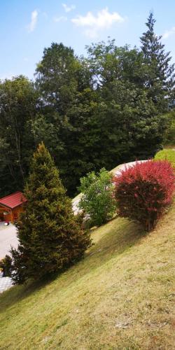 a group of bushes on a hill with trees at Haus am Fuße des Semmerings in Schottwien