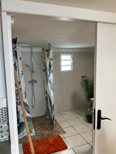 łazienka z prysznicem i zasłoną prysznicową w obiekcie La Kaz Hibiscus, jacuzzi privé w mieście Le Tampon