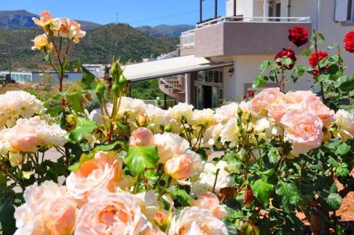 una pila de flores rosas y blancas delante de un edificio en Lagos Studios & Apartments, en Palaikastro