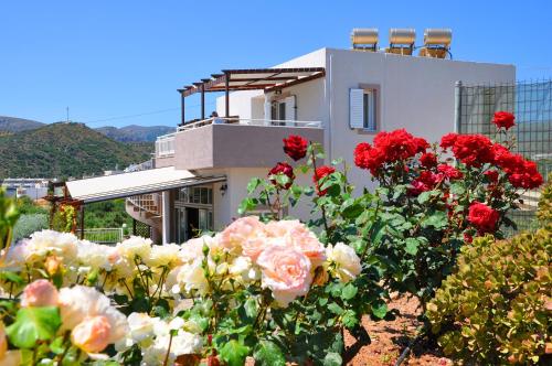 a bunch of roses in front of a house at Lagos Studios & Apartments in Palekastron