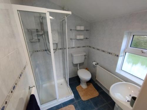 a bathroom with a shower and a toilet and a sink at Cosy Cottage by the Sea in Galway