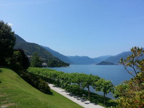 a row of trees next to a body of water at Antico Pozzo Apartment in Bellagio