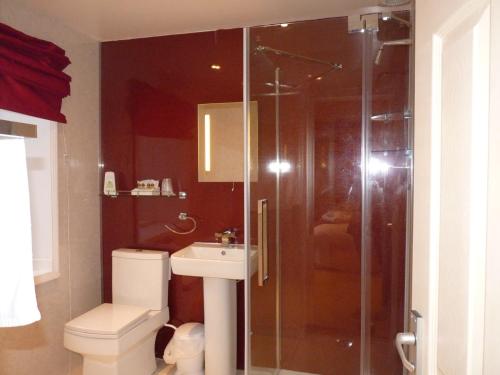 a bathroom with a shower and a toilet and a sink at The Flask Inn in Robin Hood's Bay