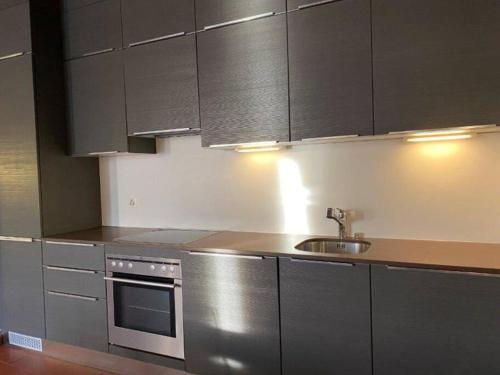 una cocina con armarios de acero inoxidable y fregadero en Meraviglioso appartamento fronte lago, en Bissone
