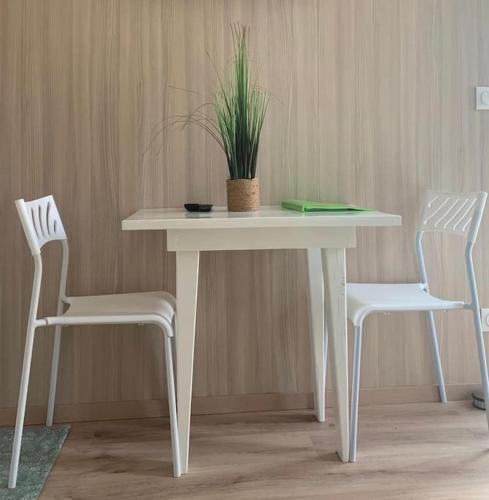 une table blanche avec deux chaises et une plante sur elle dans l'établissement Le Maluti - Chalet climatisé à Hostens, à Hostens