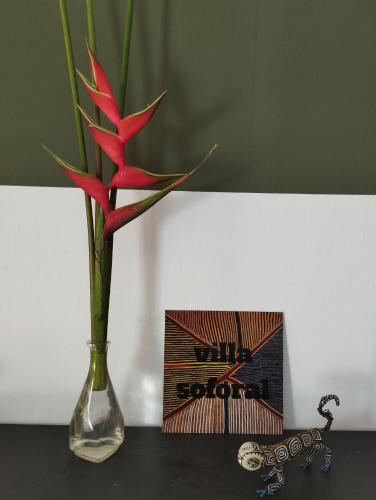 a vase with a red flower in it next to a picture at Villa Soforal in Cap Skirring