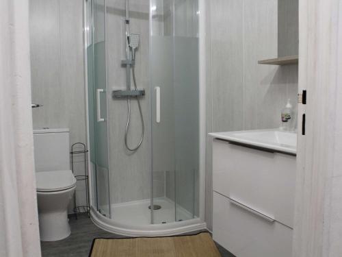 une salle de bain avec une douche avec des toilettes et un lavabo dans l'établissement Studio cabine rénové, proche plage et commerces, 4 couchages, Port-la-Nouvelle - FR-1-229C-70, à Port-la-Nouvelle