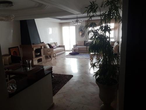 een woonkamer met een bank en een potplant bij Sppart in Casablanca