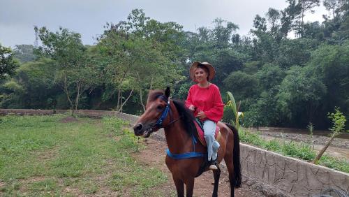 Sumedang的住宿－Delta Island Camping Ground，骑着马的小女孩