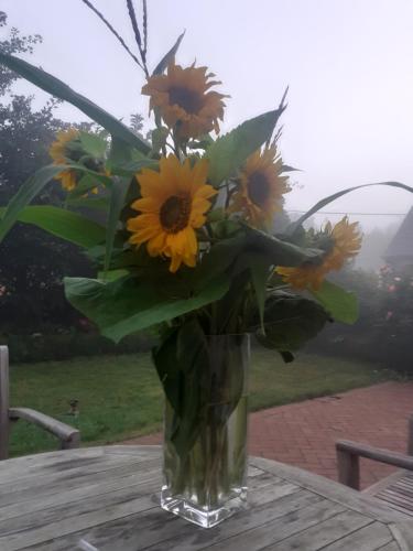 un jarrón lleno de girasoles sentado en una mesa en Blockhütte M o e r e n h o f Xanten, en Xanten