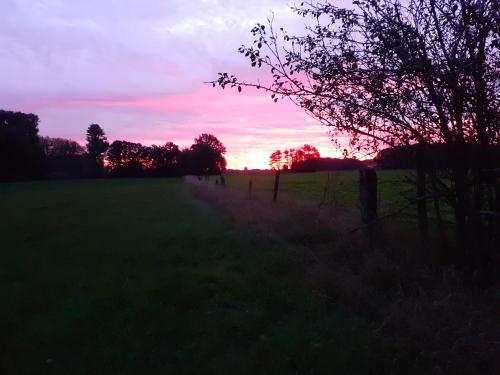 a sunset in a field with a fence and trees at Blockhütte M o e r e n h o f Xanten in Xanten