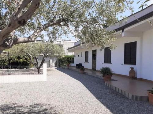 un edificio blanco con un árbol y un patio en B&B Il Giardino di Zefiro, en Gioiosa Marea