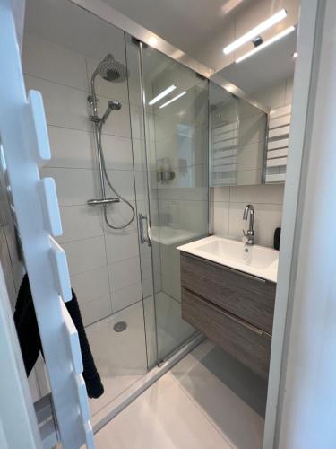 W łazience znajduje się prysznic i umywalka. w obiekcie Mel's apartment 2 w Zandvoort