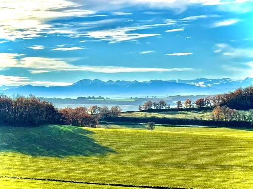 Un paisaje natural cerca de la casa de huéspedes