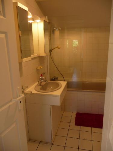 une petite salle de bain avec un lavabo et une douche dans l'établissement Appartement Ranavalo Pays Basque, à Anglet