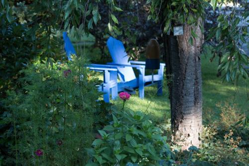 a group of blue chairs sitting next to a tree at Camden Windward House in Camden