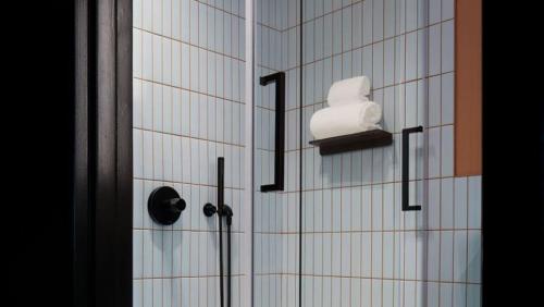 a bathroom with a shower with a soap dispenser at Haworth Hotel at Hope College in Holland