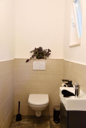 a bathroom with a toilet and a sink at Bungalow-Ferienhaus Thurner in Görtschach