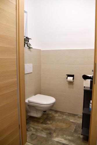 a bathroom with a white toilet in a room at Bungalow-Ferienhaus Thurner in Görtschach