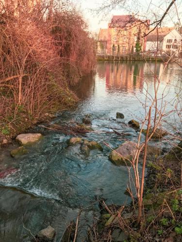 a river with rocks in the middle of it at Das Haus am Bach - Schöne große moderne Wohnung mit Terrasse in Osthofen