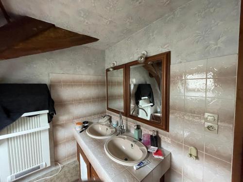 a bathroom with a sink and a mirror at Marie Galante in Sully-sur-Loire