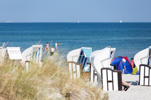 a group of beach chairs on the sand at the beach at Seebrise Zingst in Zingst