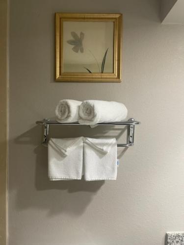a towel rack with towels and a picture on the wall at Days Inn by Wyndham Fayetteville-South/I-95 Exit 49 in Fayetteville