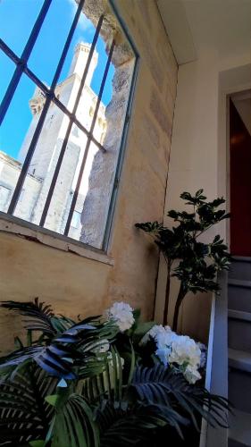 - une fenêtre dans une pièce ornée de plantes dans l'établissement Uzès, au cœur du centre médiéval La Boussole d'Uzès, appartement de caractère du XVII -ème siècle, à Uzès