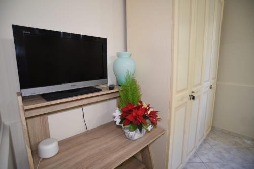 a television and a vase with flowers on a table at Sicilia Mount&Sea in Mascali