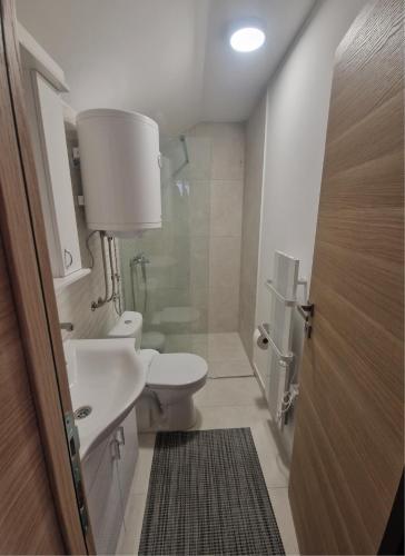 a bathroom with a toilet and a sink and a shower at Apartmani Stefan in Vrdnik