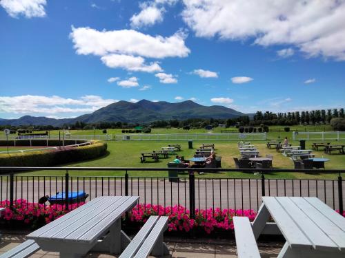 a bunch of picnic tables in a field with mountains at Larkfield House B&B, Ballycasheen Kerry V93 WD51 in Killarney