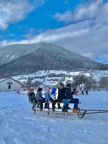a group of people sitting on a sled in the snow at Pensiunea 3 Brazi Zarnesti in Zărneşti