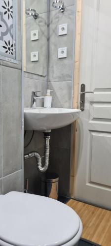 een badkamer met een wastafel en een toilet bij LA FENSCH GIRALDA Luxembourg in Knutange