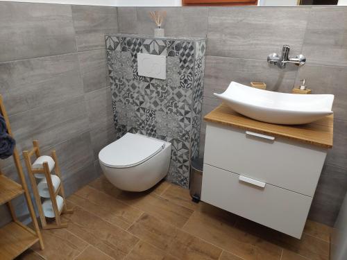 Łazienka z białą toaletą i umywalką w obiekcie Apartmán s vinným sklepem Four Grapes w mieście Jevišovka