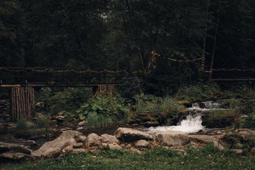 Gallery image of Pensiunea Retezat in Rîu de Mori