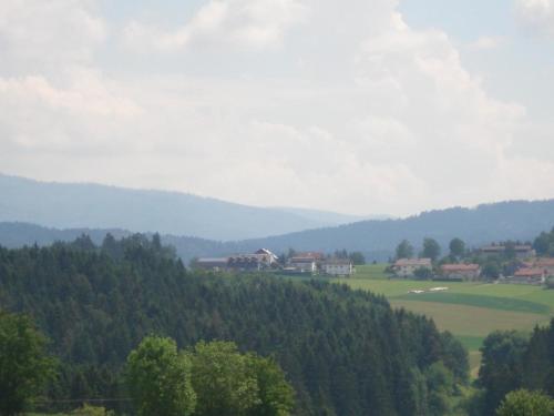 - une vue sur une vallée avec des maisons et des arbres dans l'établissement Appartement in Hönigsgrub mit Großem Balkon und Fernblick, à Rinchnach