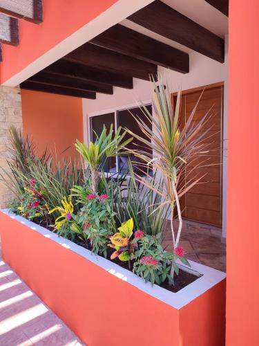 Un jardín fuera de Hotel Mumai