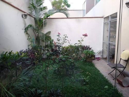 a garden in the side of a building with plants at Alquiler de apartamento en Lince in Lima