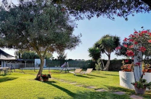 un parc avec des chaises, un arbre et des fleurs dans l'établissement FINCA EL CAMPITO, piscina, bbq, ping-pong, billar, 10 min andando de la playa, à Rota