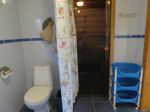 a bathroom with a toilet and a shower curtain at Saunaga külalistemaja, Tartust 9km kaugusel 