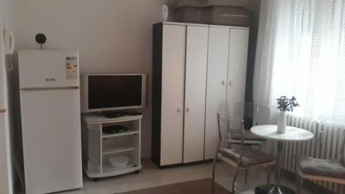 Kuchyň nebo kuchyňský kout v ubytování Studio apartman Vrbas