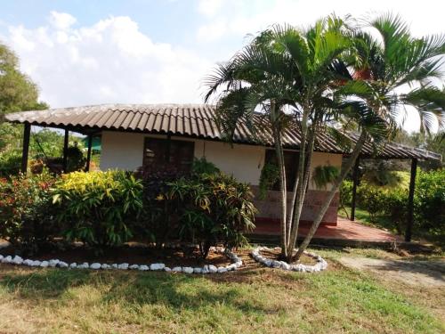 una casa con una palmera delante de ella en Jilymar Cabaña de descanso, Isla de Barú - Cartagena en Santa Ana