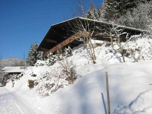 Ferienwohnung für 6 Personen ca 100 m in Eben im Pongau, Salzburger Land Pongau